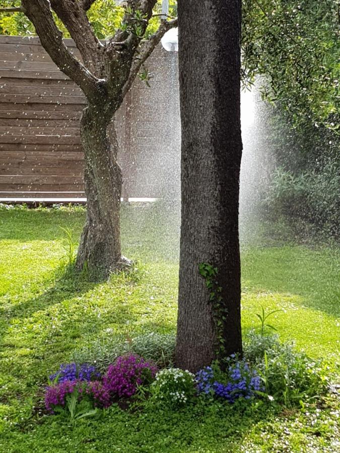 La Limonaia Villa Castel Volturno Kültér fotó